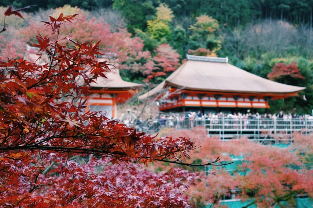image-kyoto-temple-autumnmizu-dera Temple surrounded by autumn foliage in Kyoto, Japan